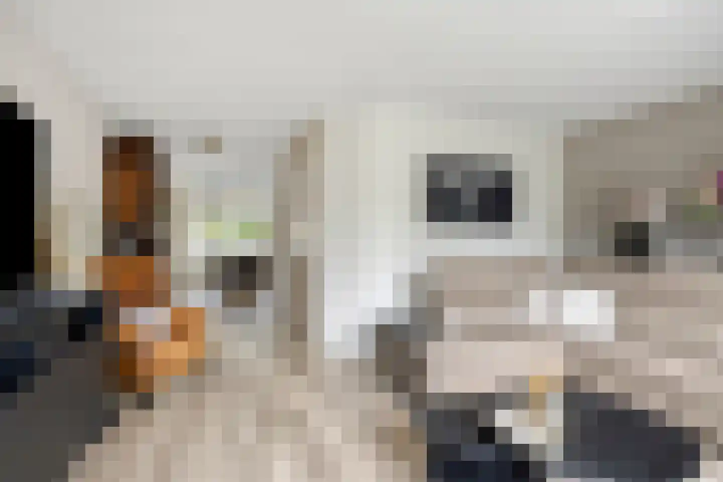 Nikolaus Boutstraat 19 Westmaas thumbnail 18