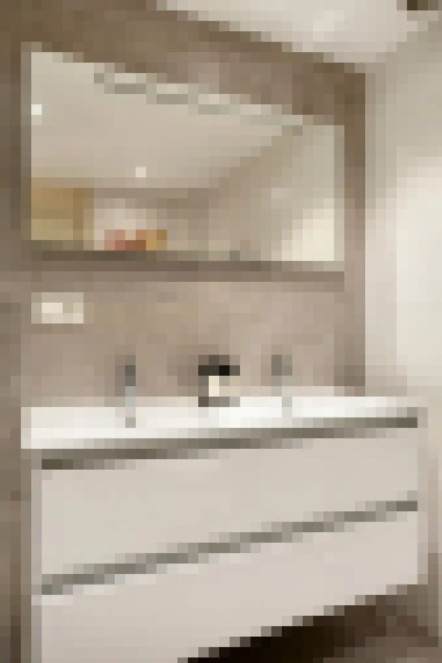 Nikolaus Boutstraat 19 Westmaas thumbnail 24