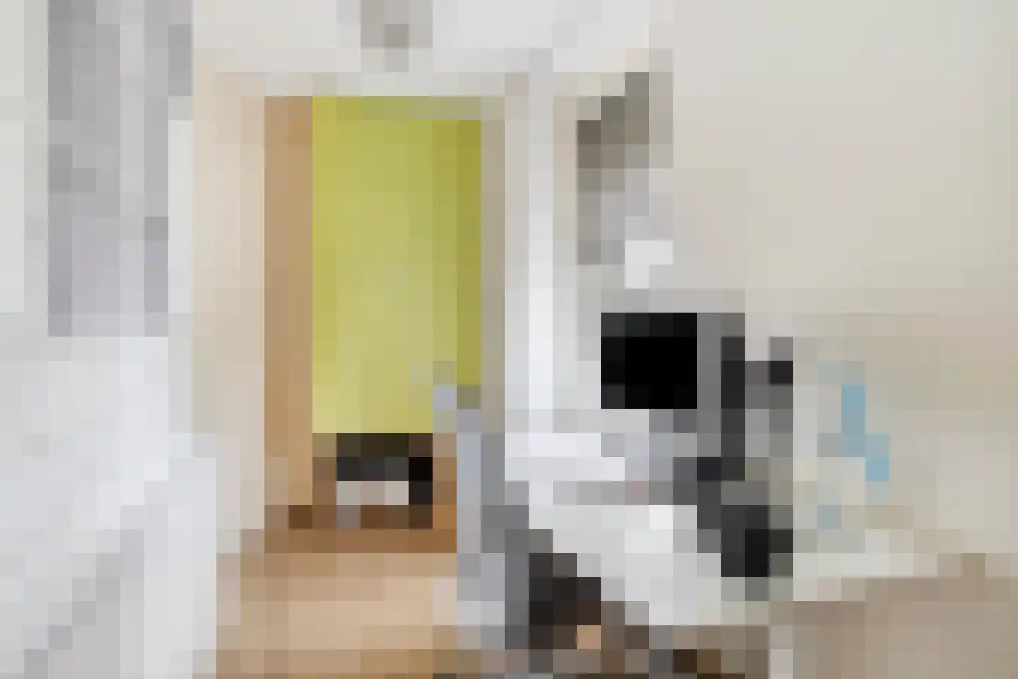 Nikolaus Boutstraat 19 Westmaas thumbnail 27