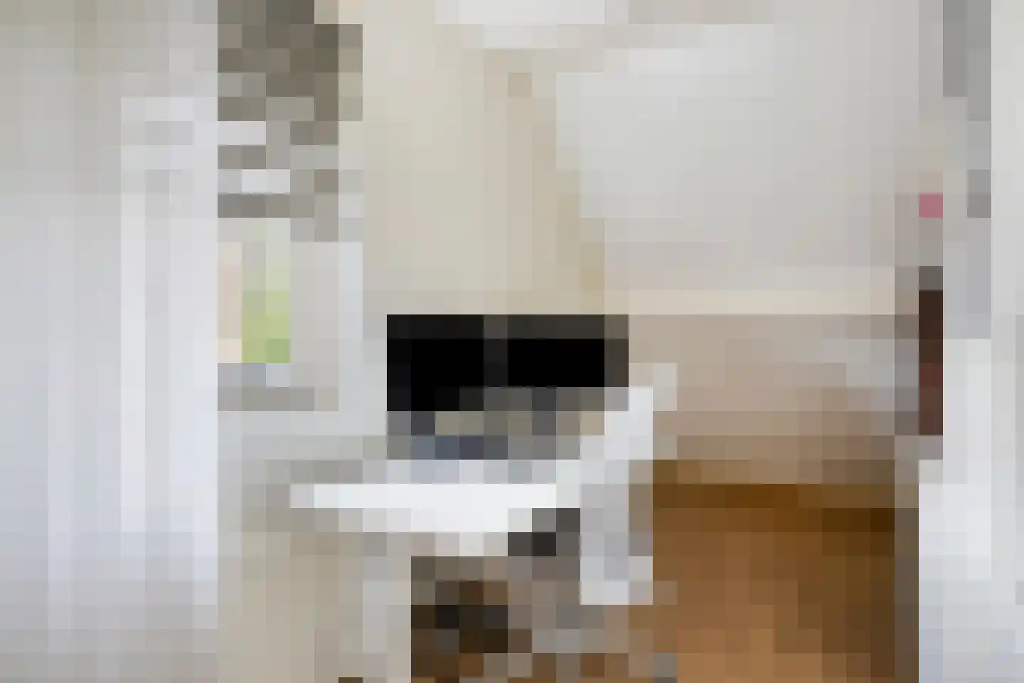 Nikolaus Boutstraat 19 Westmaas thumbnail 31
