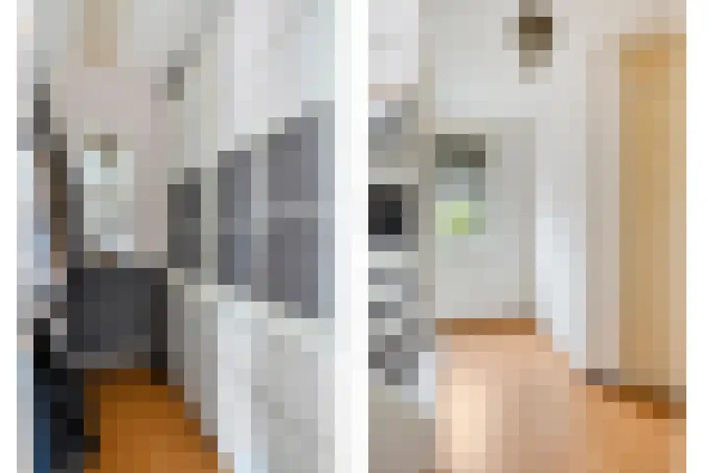 Nikolaus Boutstraat 19 Westmaas thumbnail 32