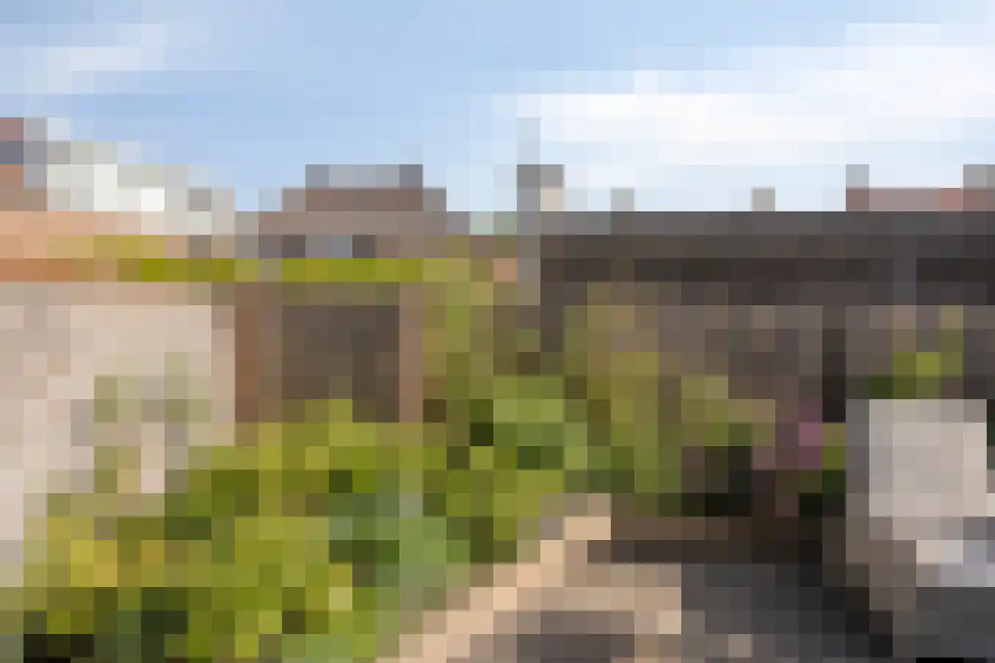 Nikolaus Boutstraat 19 Westmaas thumbnail 38