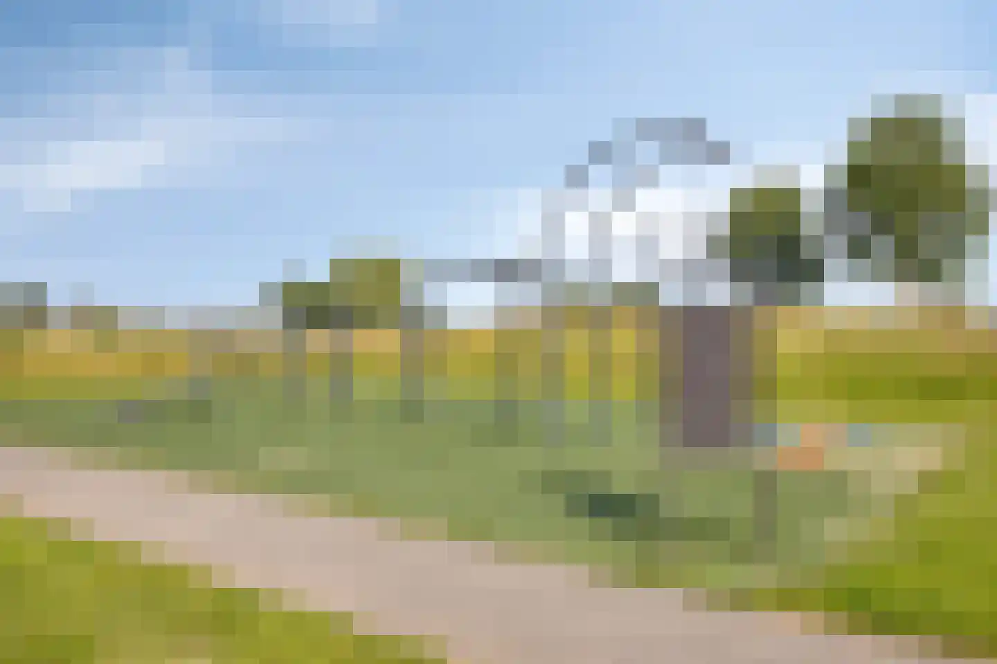Nikolaus Boutstraat 19 Westmaas thumbnail 42