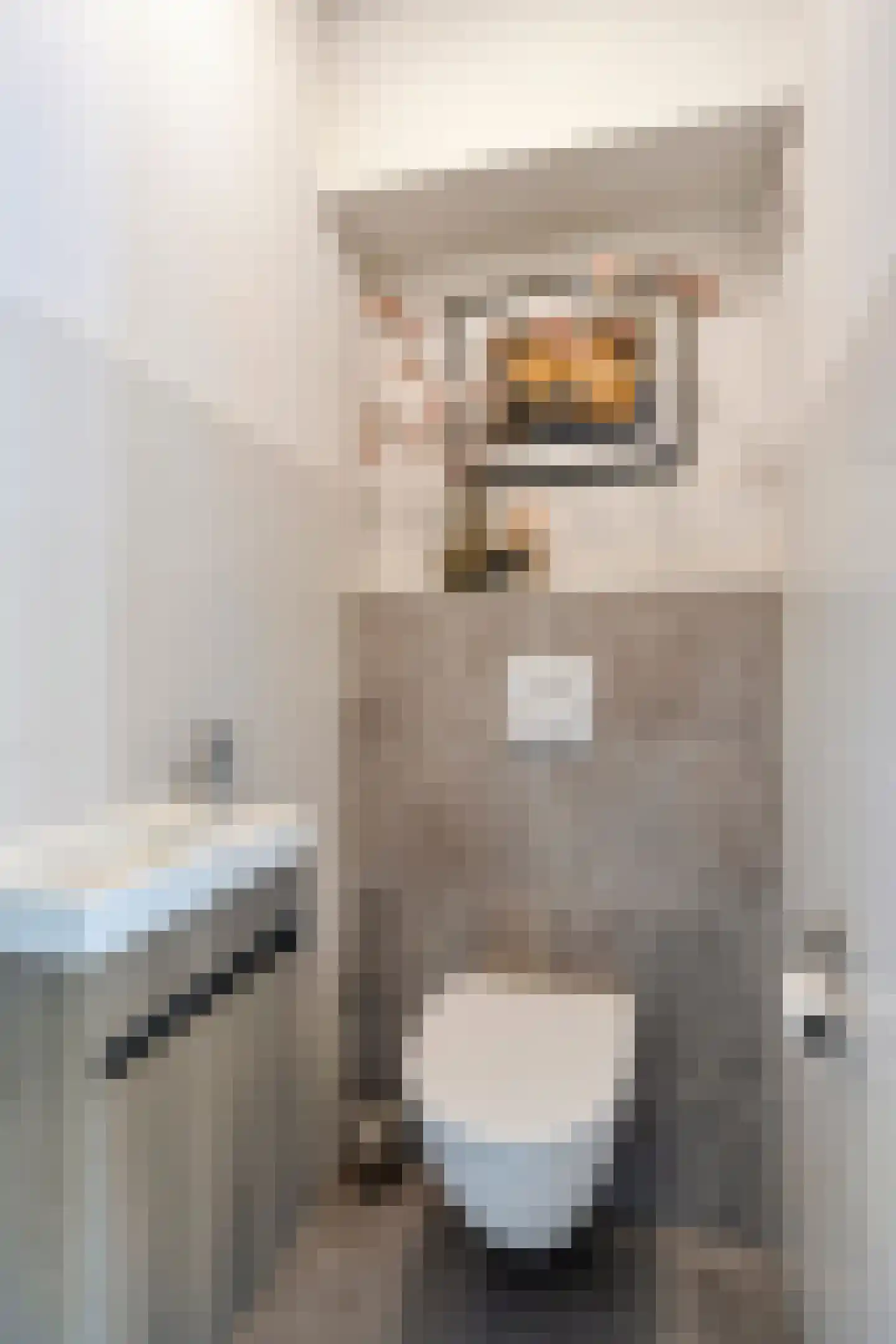 Nikolaus Boutstraat 19 Westmaas thumbnail 9