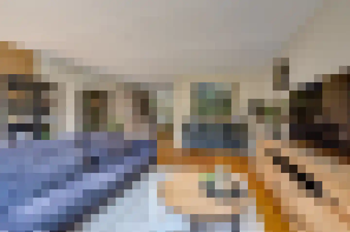 Nikolaus Boutstraat 6 Westmaas thumbnail 12