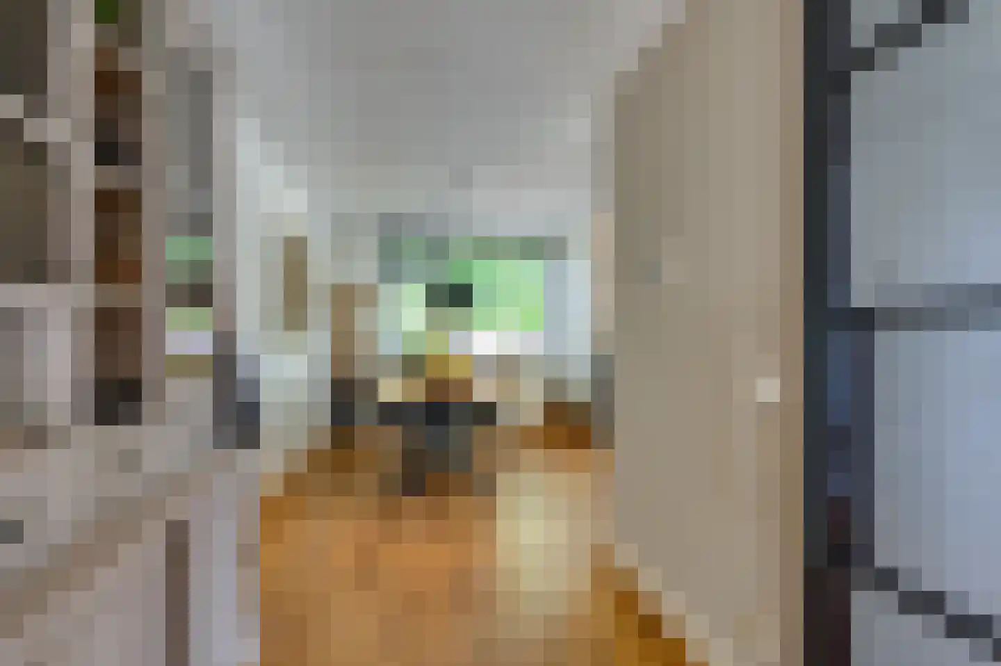 Nikolaus Boutstraat 6 Westmaas thumbnail 13