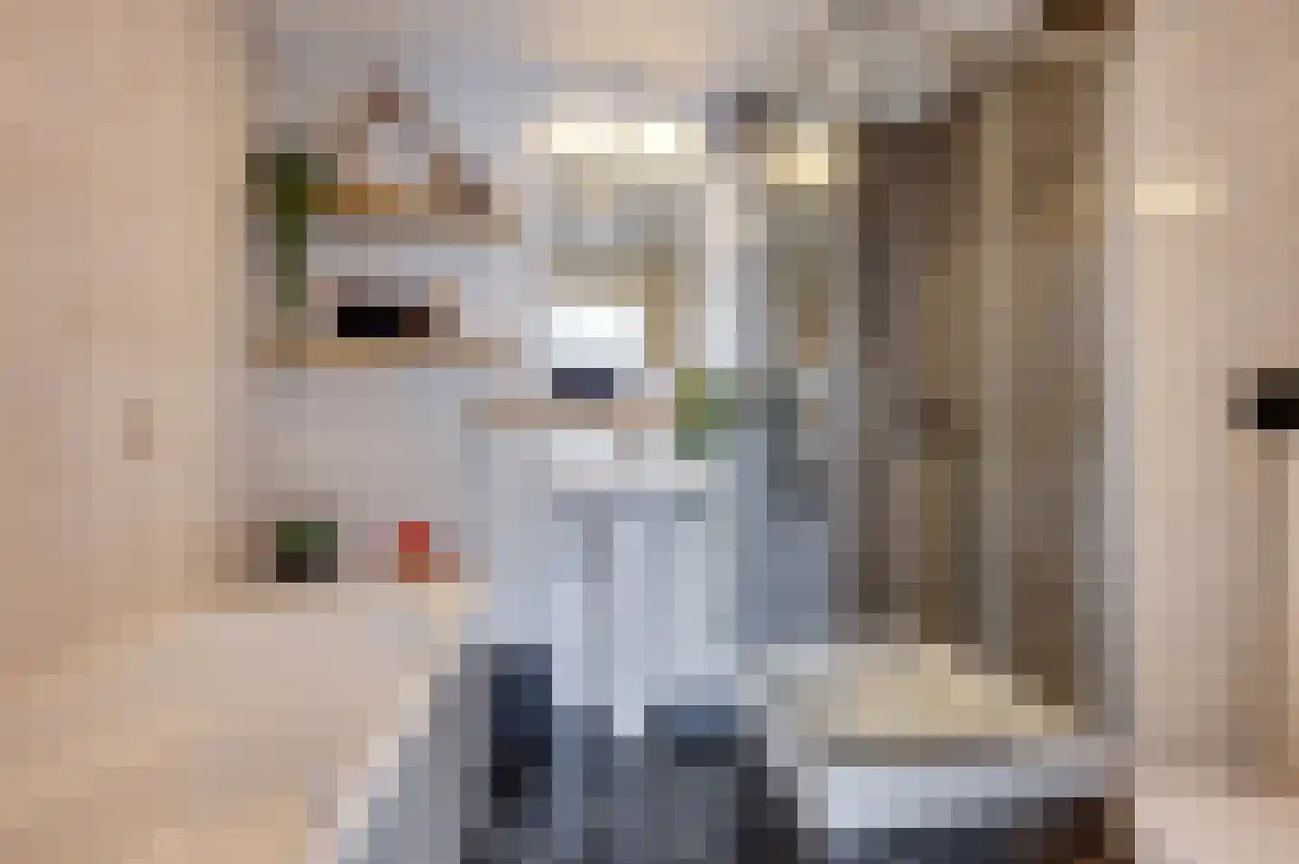 Nikolaus Boutstraat 6 Westmaas thumbnail 26