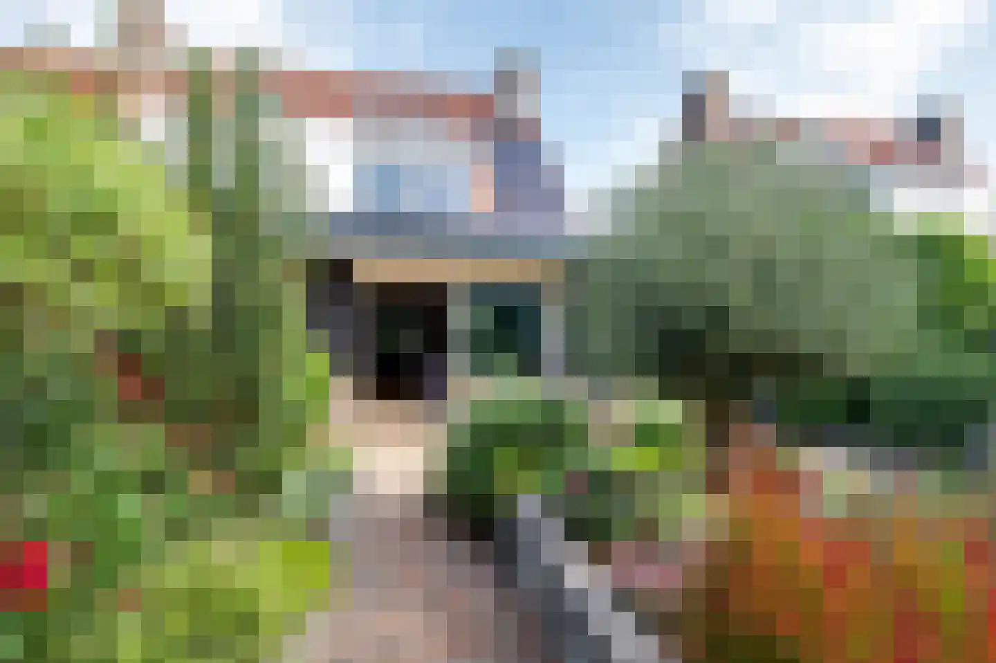 Nikolaus Boutstraat 6 Westmaas thumbnail 39