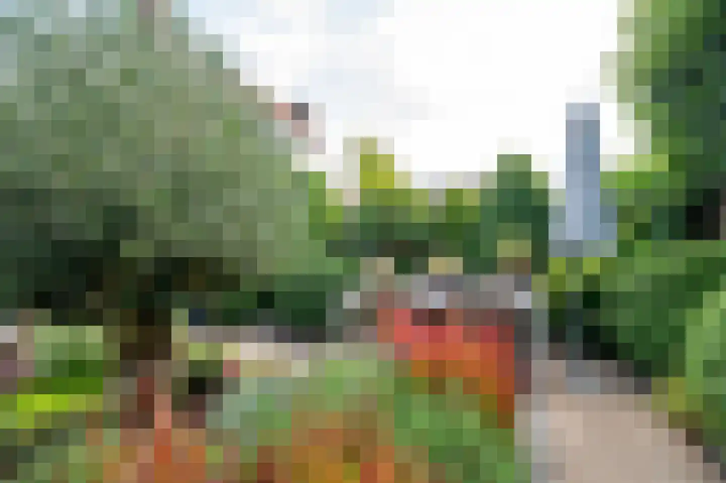 Nikolaus Boutstraat 6 Westmaas thumbnail 40
