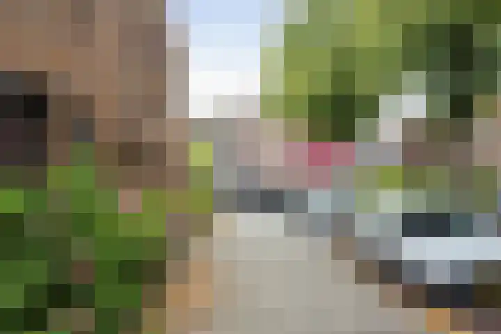 Nilantstraat 20 Deventer thumbnail 32