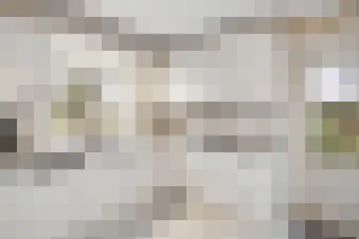 Nilantsweg 105 Zwolle thumbnail 10