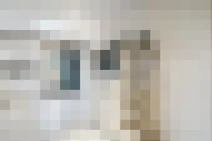 Nilantsweg 105 Zwolle thumbnail 11