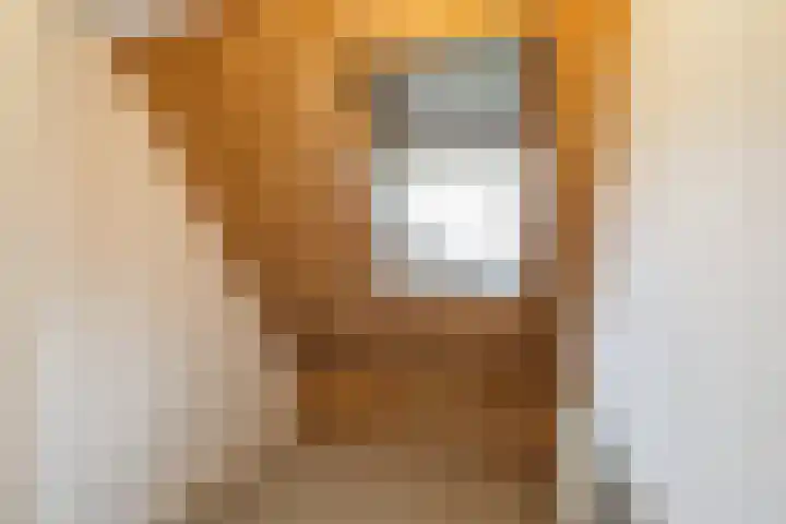 Nilantsweg 105 Zwolle thumbnail 22
