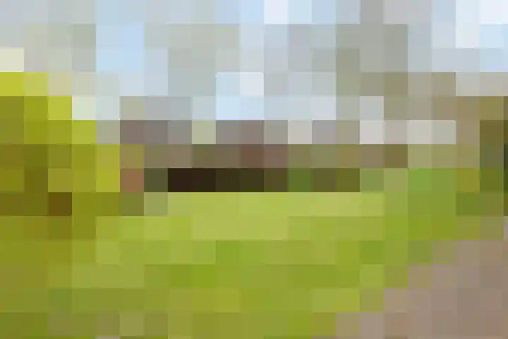 Nilantsweg 105 Zwolle thumbnail 26