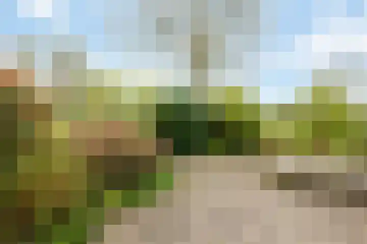 Nilantsweg 105 Zwolle thumbnail 27