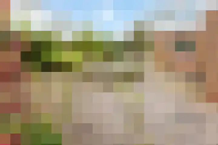 Nilantsweg 105 Zwolle thumbnail 28