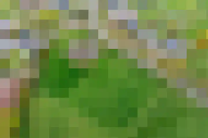 Nilantsweg 105 Zwolle thumbnail 30