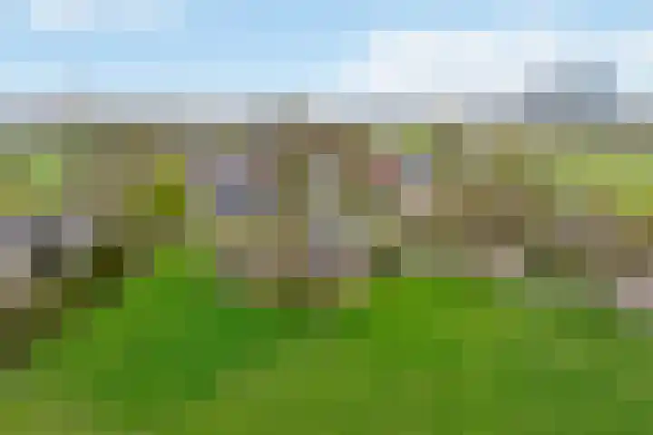 Nilantsweg 105 Zwolle thumbnail 31