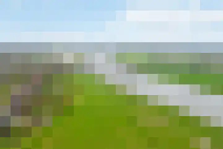 Nilantsweg 105 Zwolle thumbnail 32