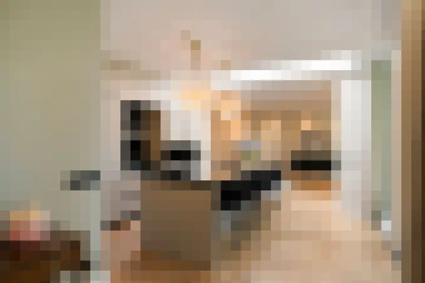 Nilantsweg 15 Zwolle thumbnail 12