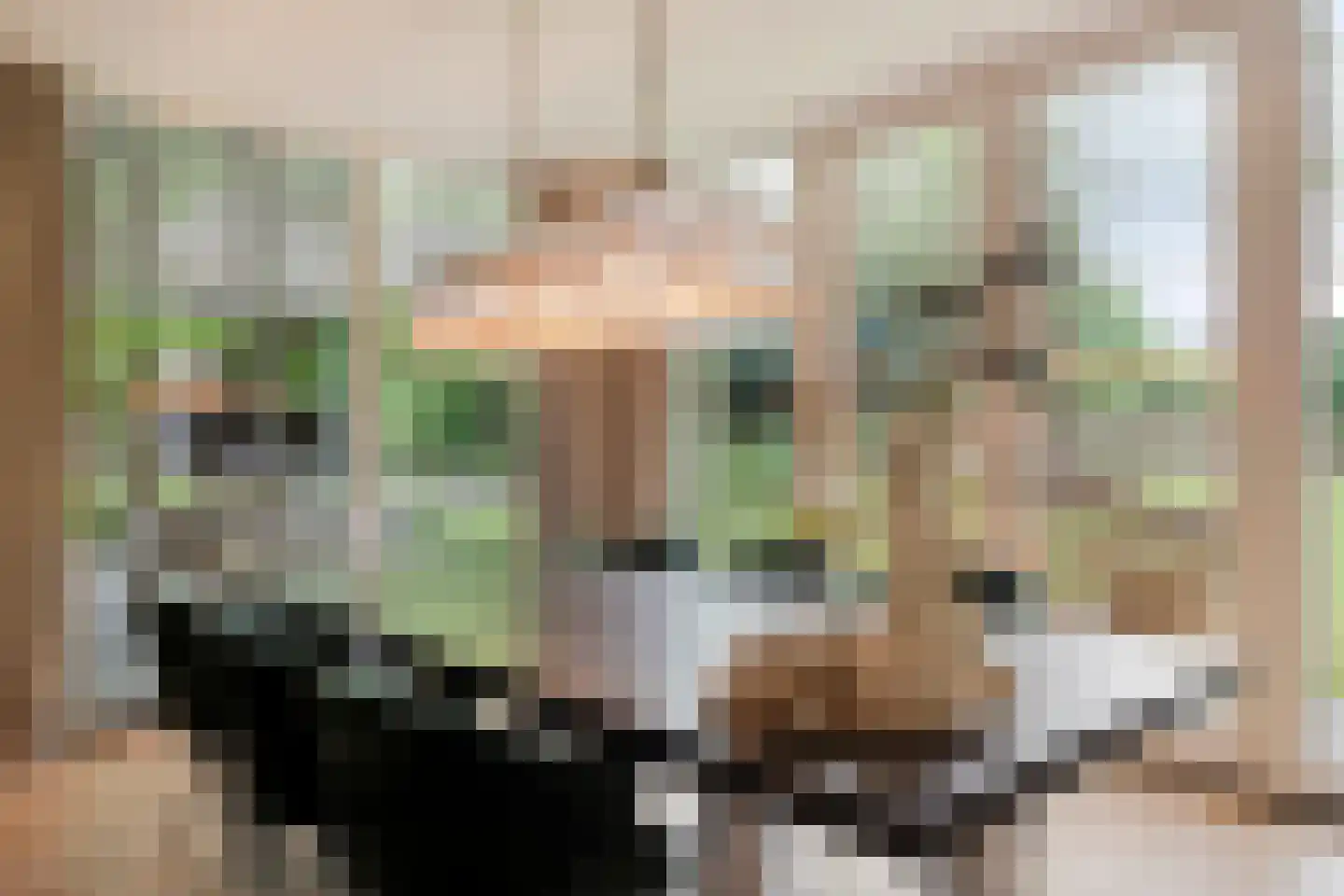 Nilantsweg 15 Zwolle thumbnail 16