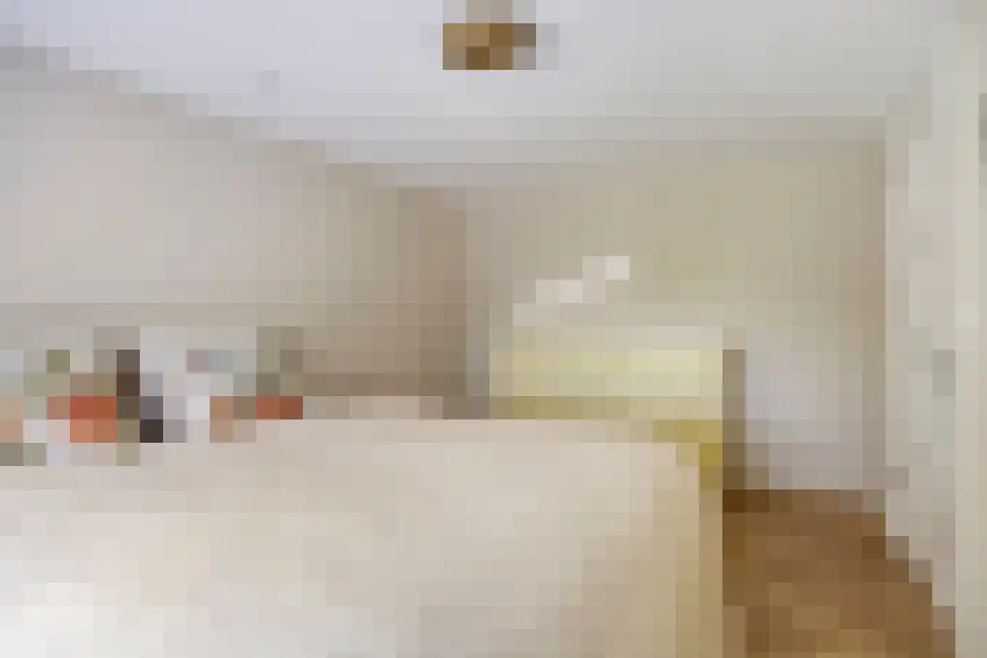 Nilantsweg 15 Zwolle thumbnail 23