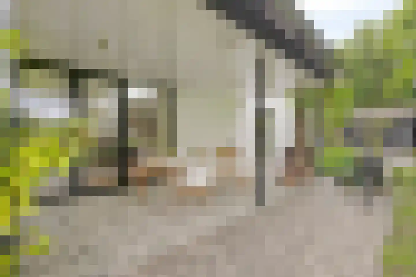 Nilantsweg 15 Zwolle thumbnail 31