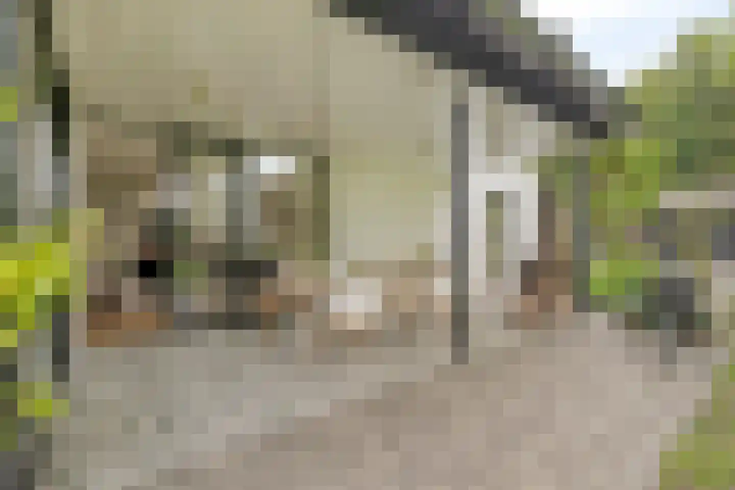 Nilantsweg 15 Zwolle thumbnail 32