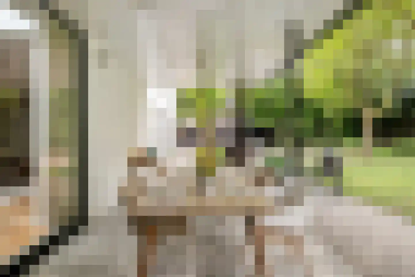 Nilantsweg 15 Zwolle thumbnail 36