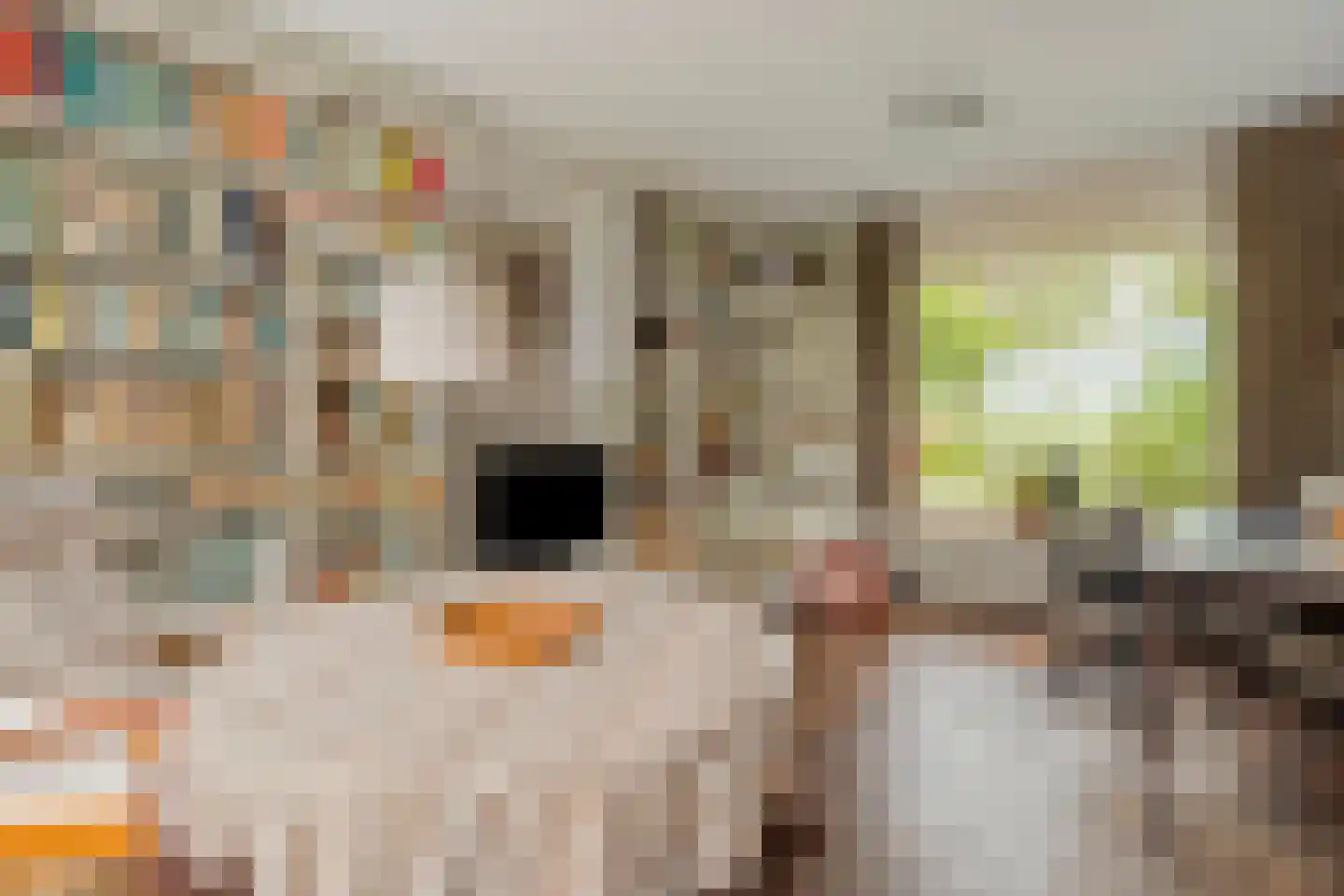 Nilantsweg 43 Zwolle thumbnail 23