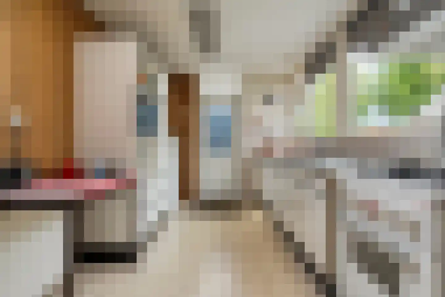 Nilantsweg 43 Zwolle thumbnail 28