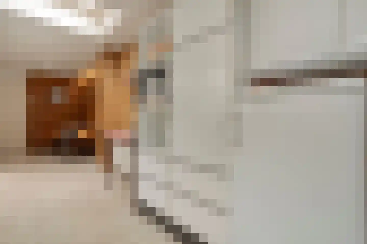 Nilantsweg 43 Zwolle thumbnail 29