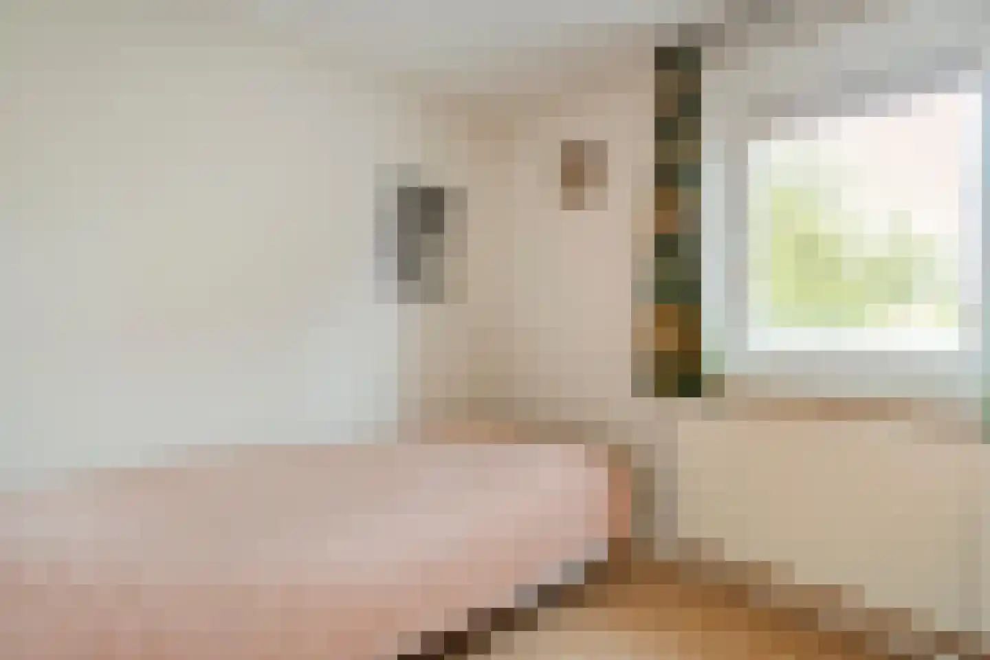 Nilantsweg 43 Zwolle thumbnail 31