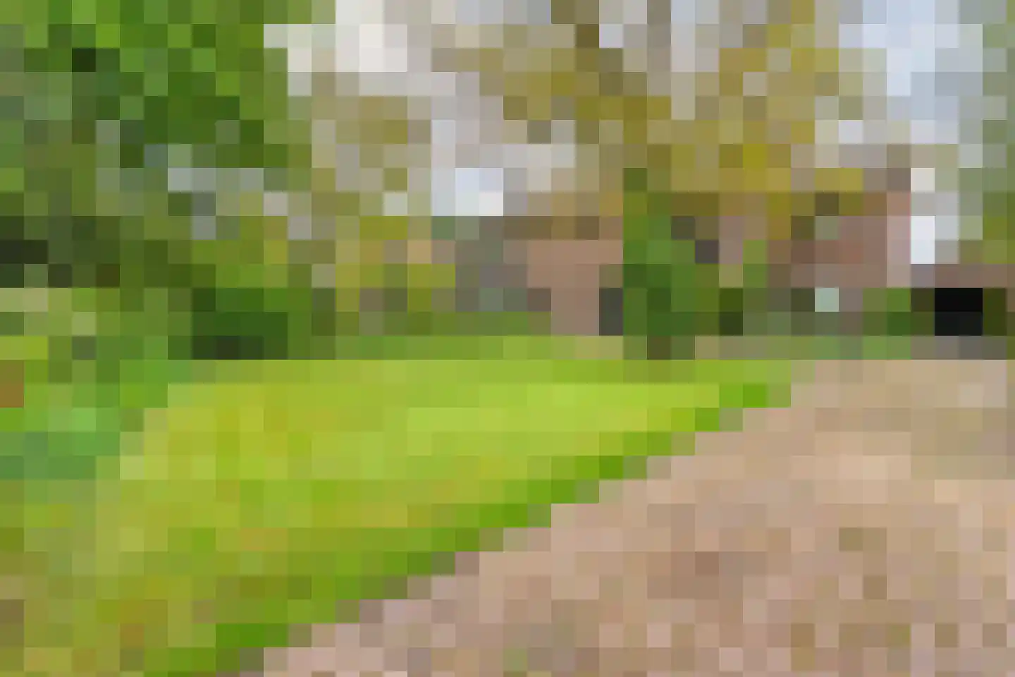 Nilantsweg 43 Zwolle thumbnail 4