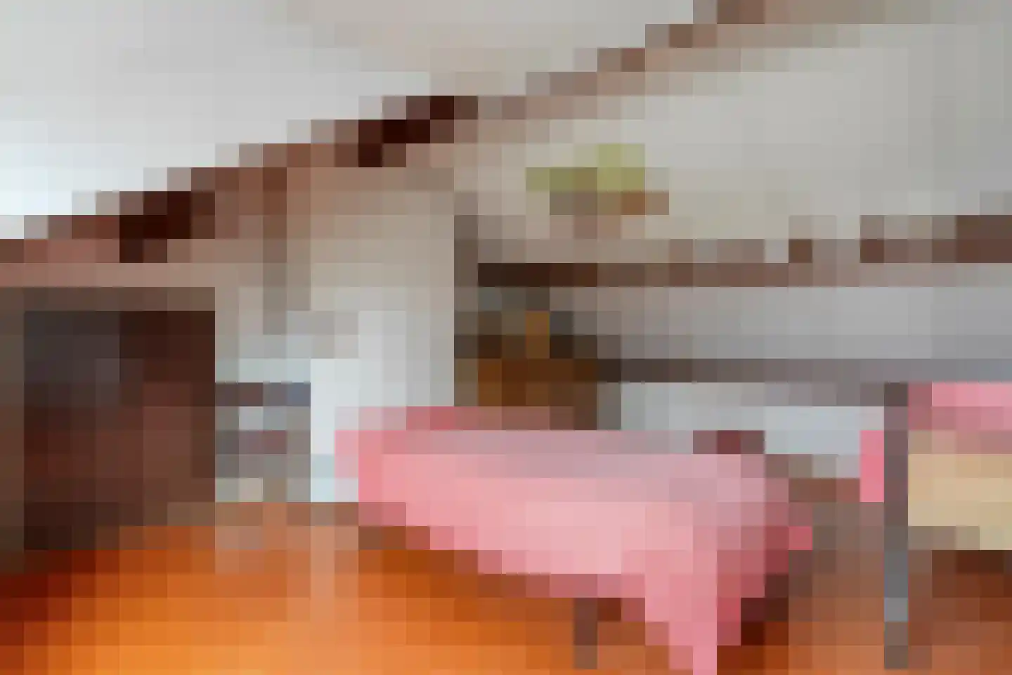 Nilantsweg 43 Zwolle thumbnail 42