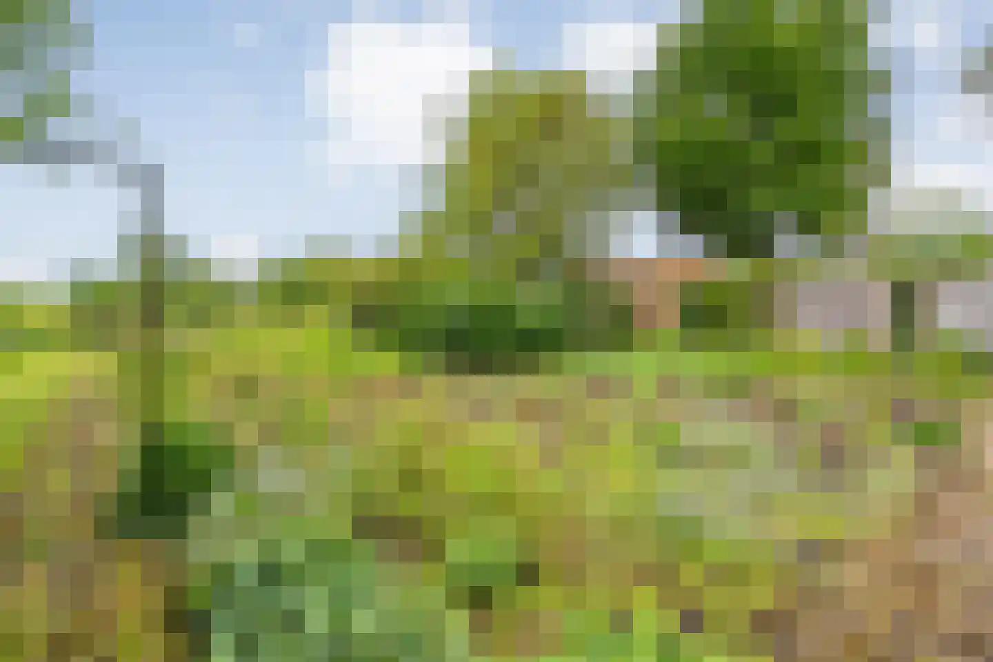 Nilantsweg 43 Zwolle thumbnail 49