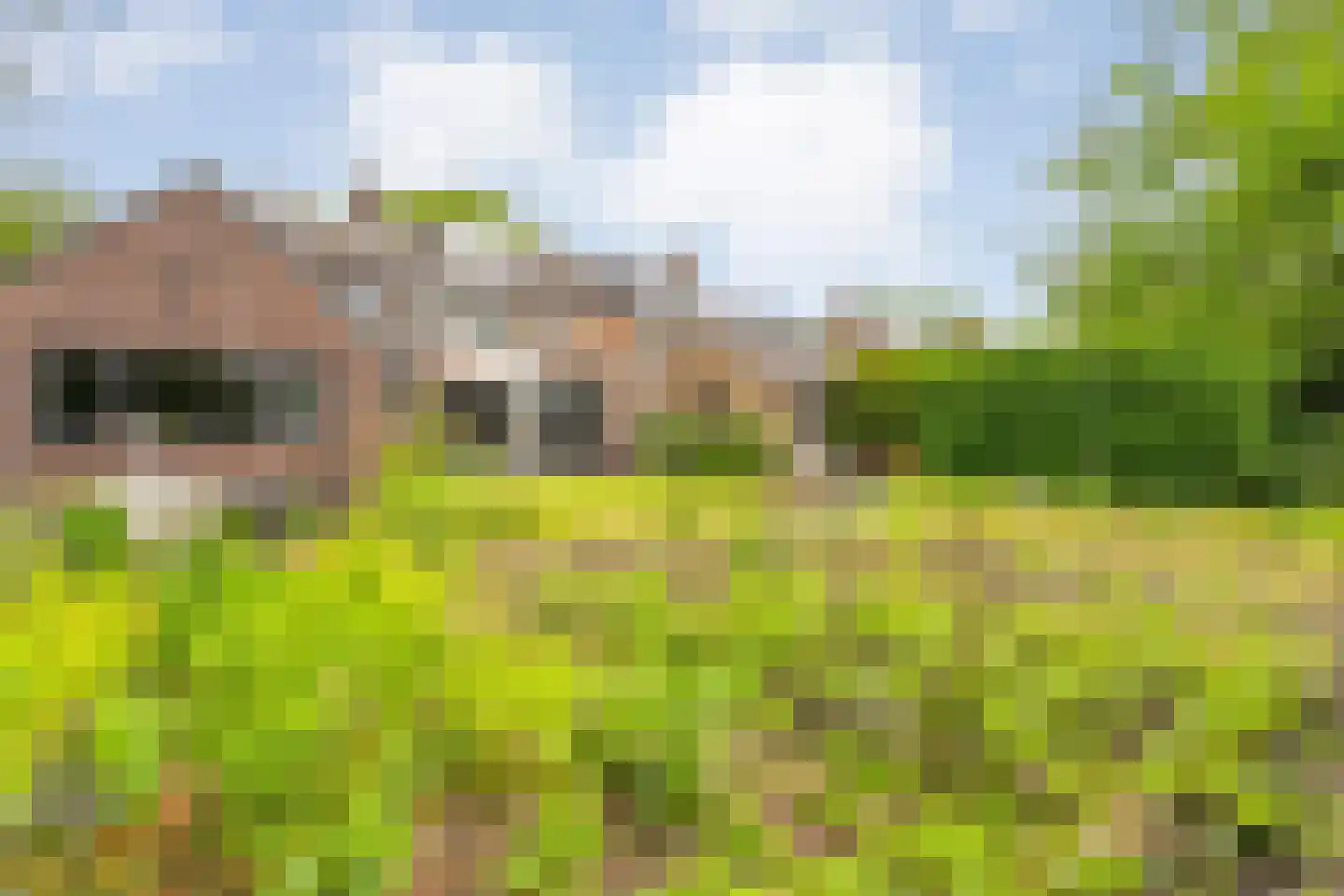 Nilantsweg 43 Zwolle thumbnail 50