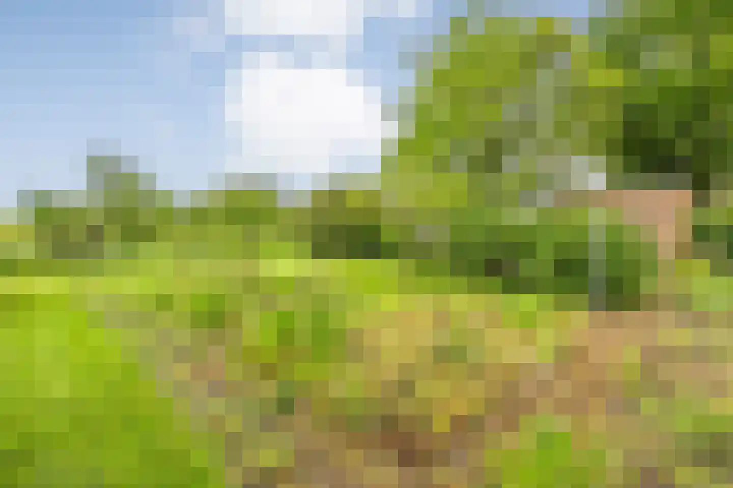 Nilantsweg 43 Zwolle thumbnail 51