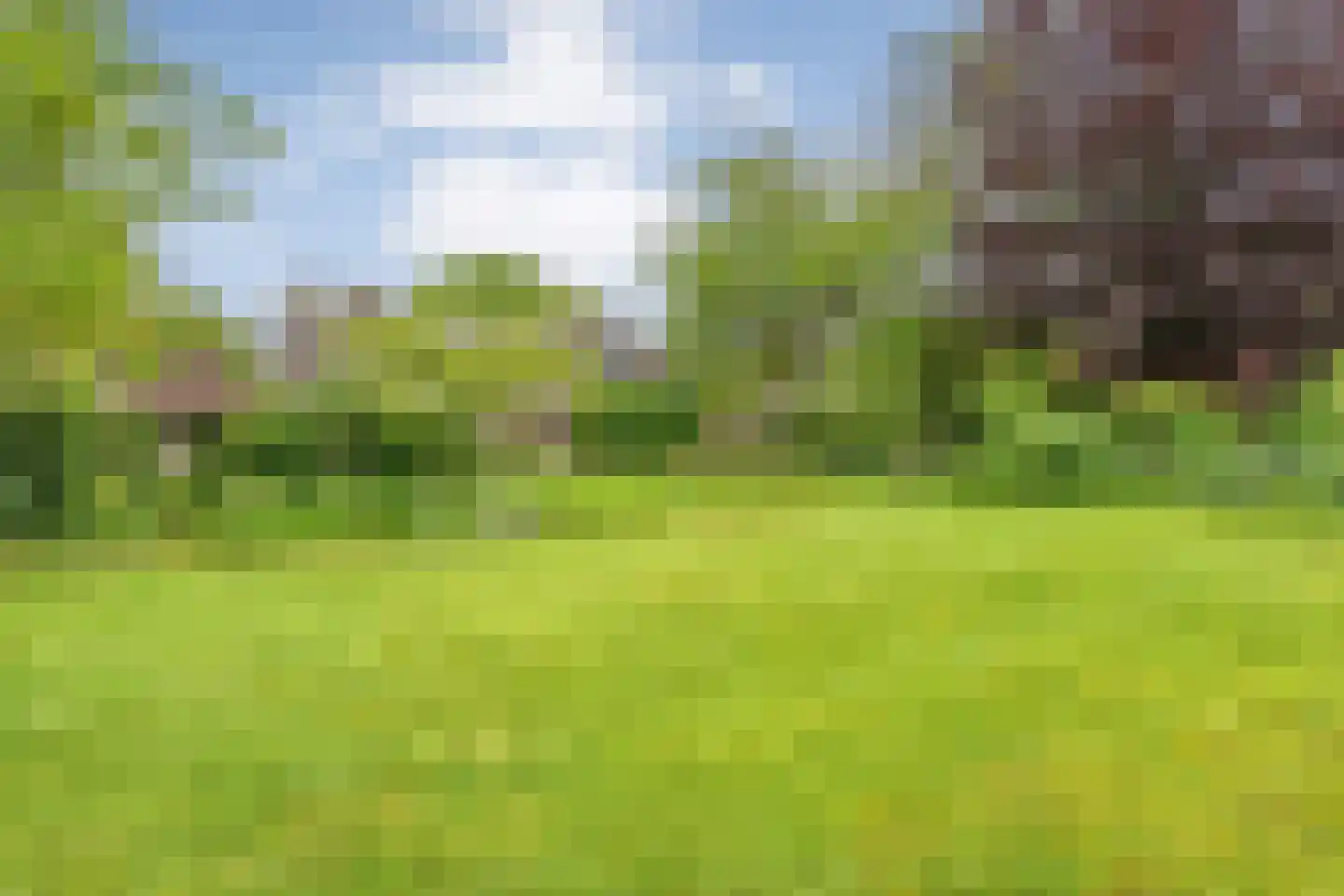 Nilantsweg 43 Zwolle thumbnail 52