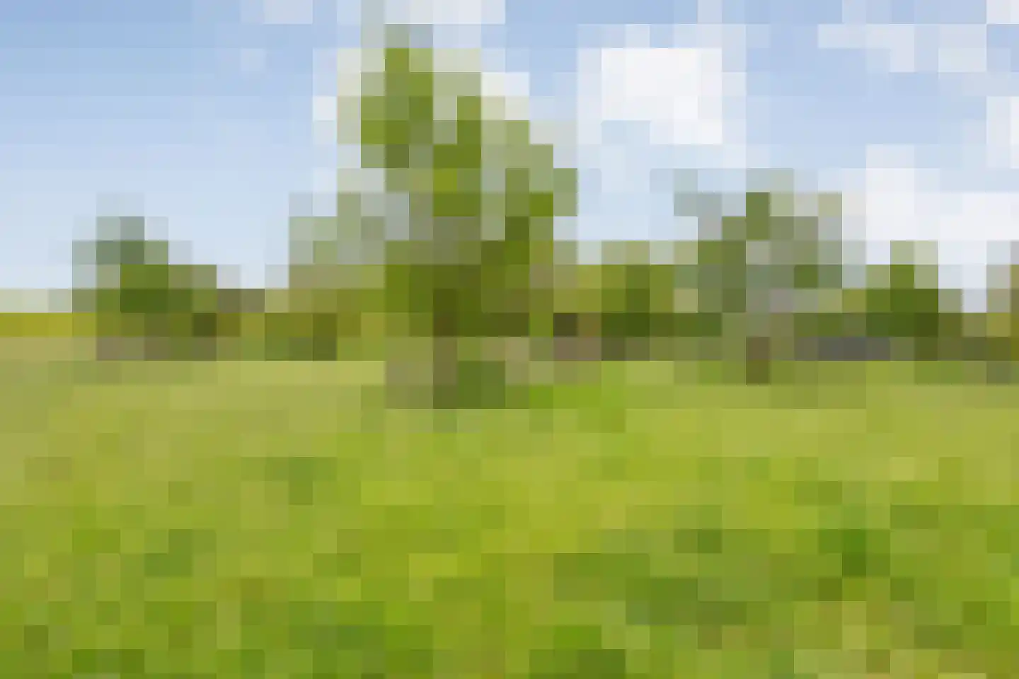 Nilantsweg 43 Zwolle thumbnail 54