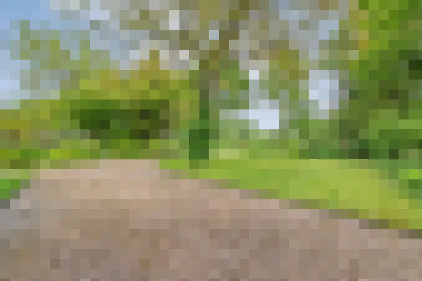Nilantsweg 43 Zwolle thumbnail 60