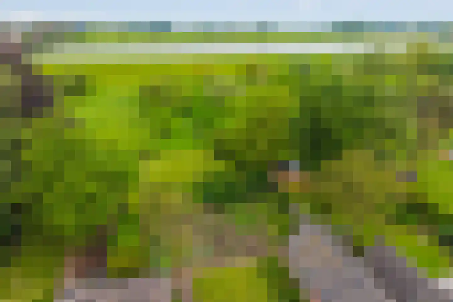 Nilantsweg 43 Zwolle thumbnail 7