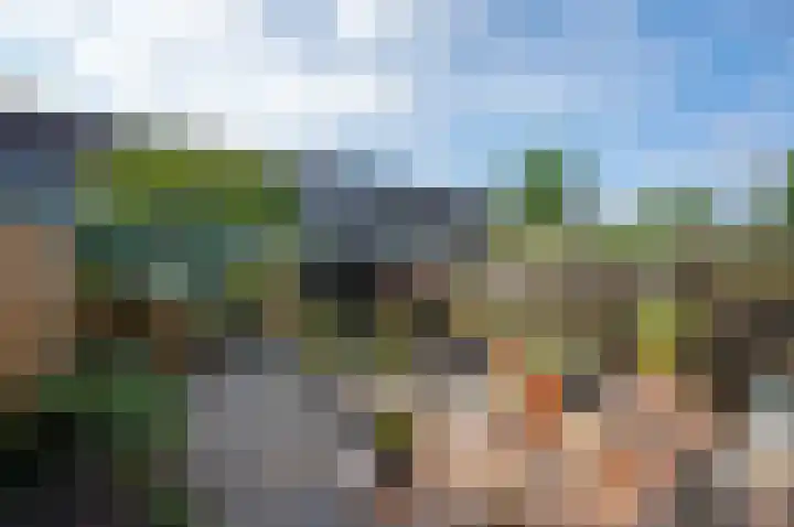 Nimfkruidstraat 15 Almere thumbnail 15