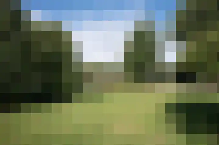 Nimfkruidstraat 15 Almere thumbnail 27