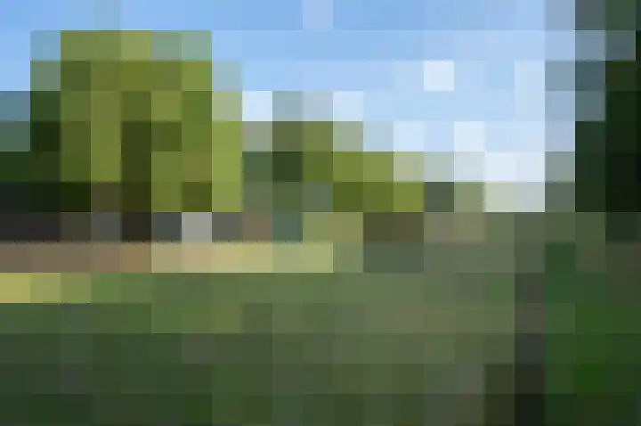 Nimfkruidstraat 15 Almere thumbnail 29