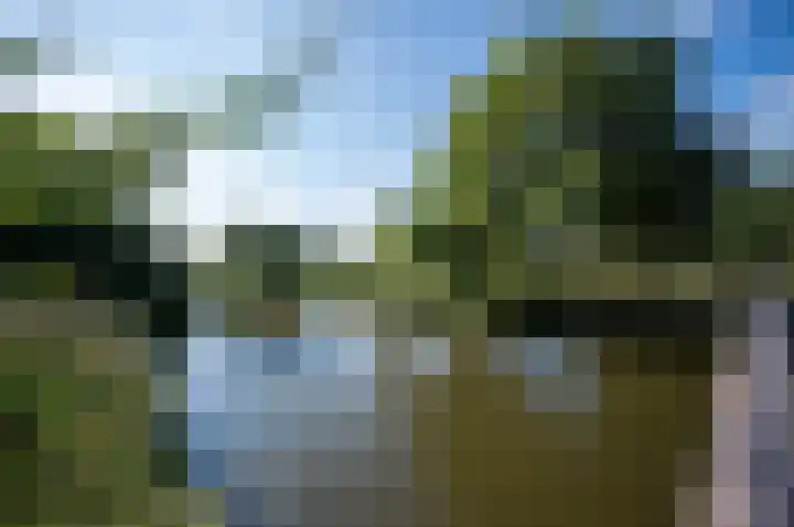 Nimfkruidstraat 15 Almere thumbnail 30