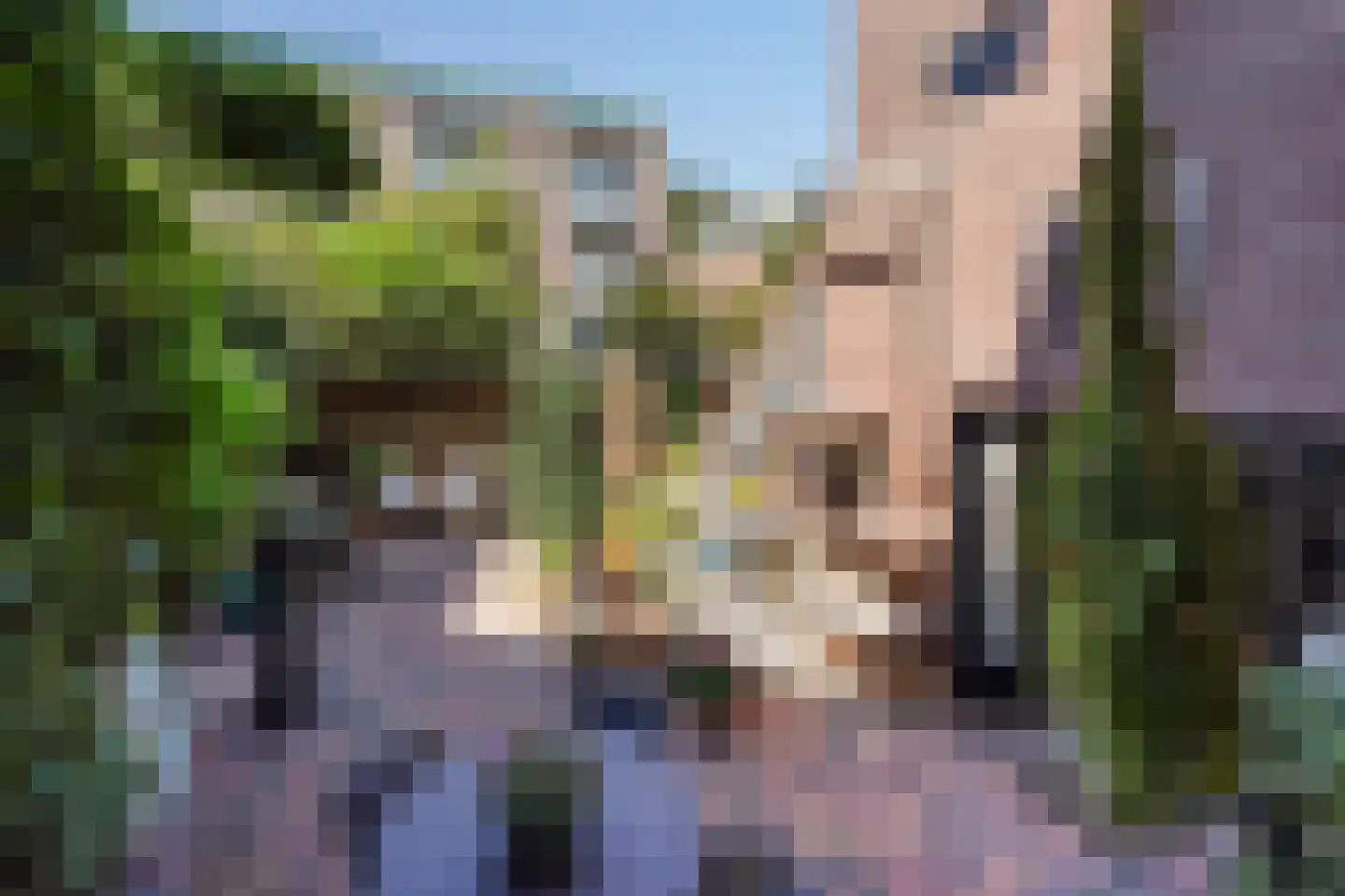 Nimfkruidvaart 13 Zoetermeer thumbnail 11