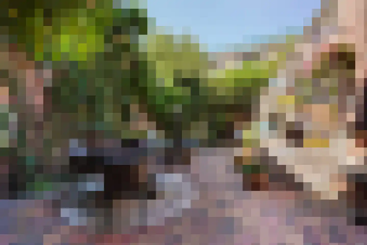 Nimfkruidvaart 13 Zoetermeer thumbnail 13