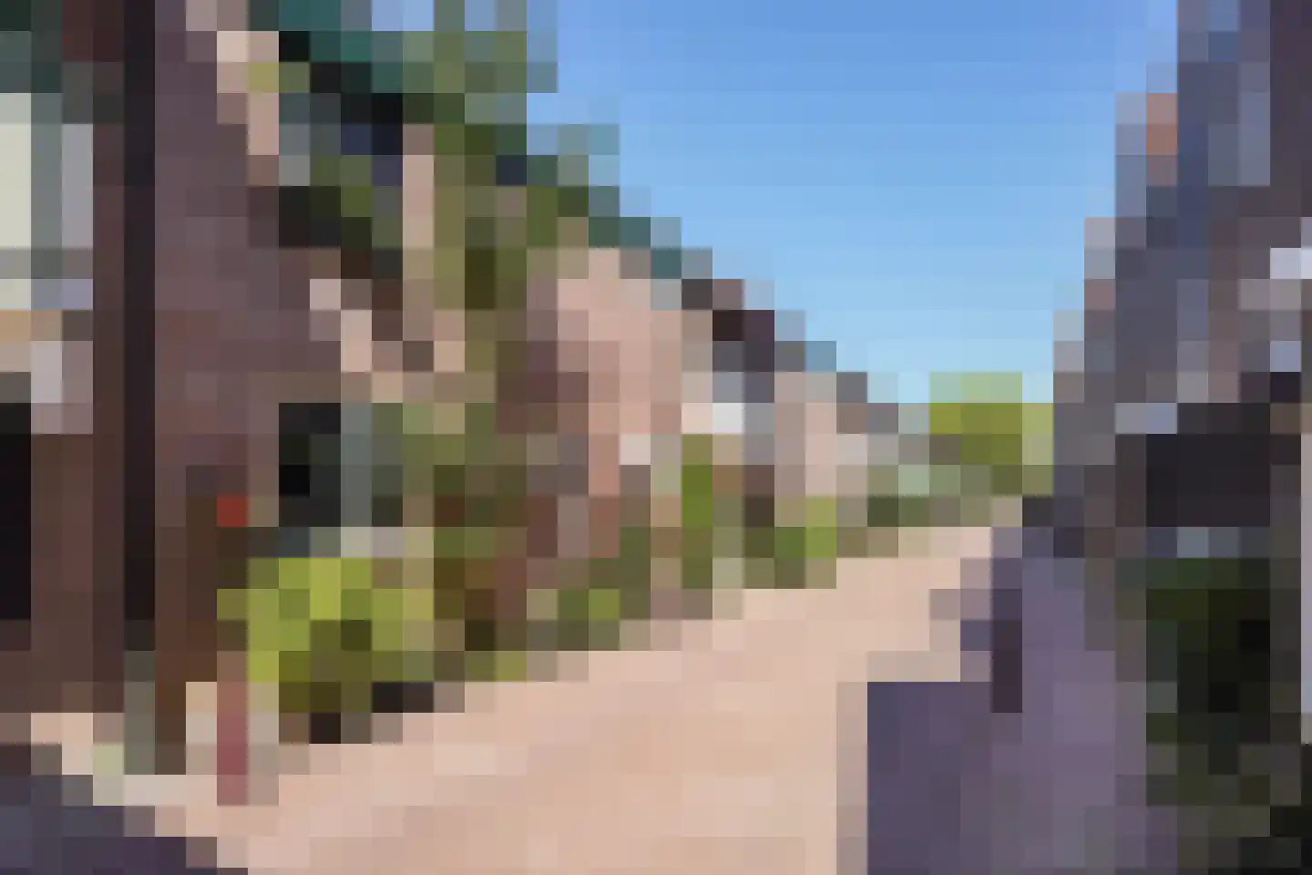 Nimfkruidvaart 13 Zoetermeer thumbnail 17