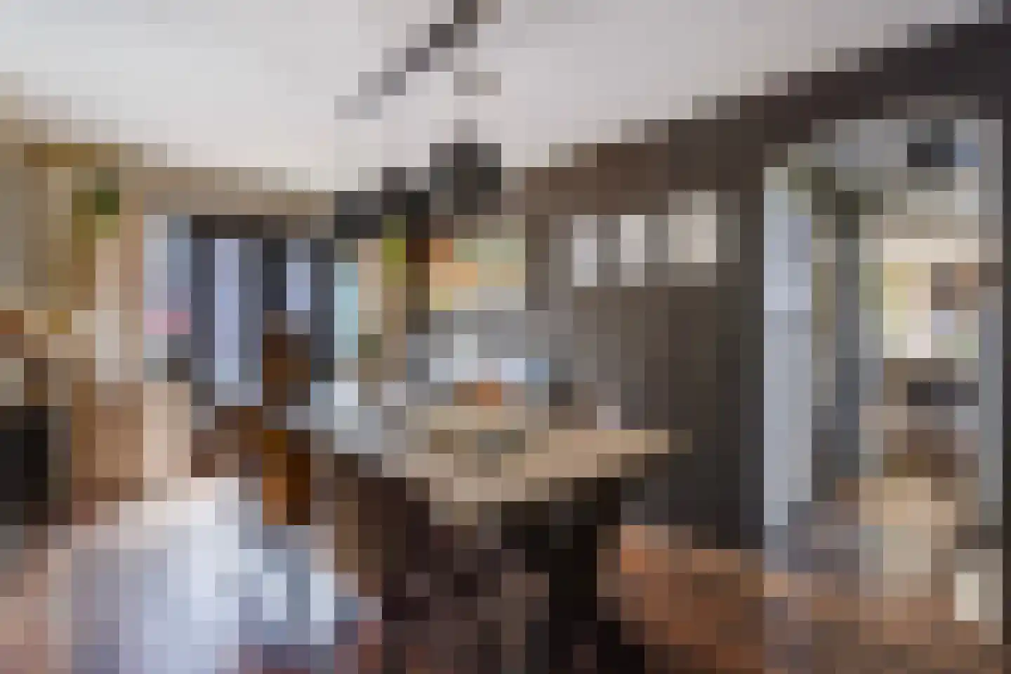Nimfkruidvaart 13 Zoetermeer thumbnail 24